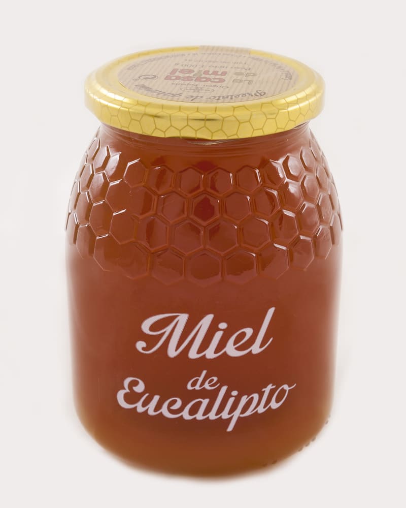 Miel de eucalipto 1kg